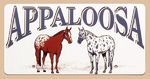 Appaloosa Horses  License Plate - 6X12