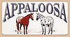 Appaloosa Horses  License Plate - 6X12